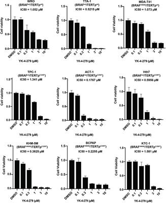 The ETS Inhibitor YK-4-279 Suppresses Thyroid Cancer Progression Independent of TERT Promoter Mutations